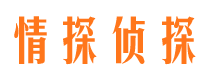 萨迦市侦探调查公司